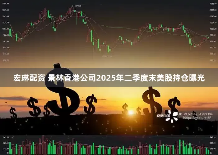 宏琳配资 景林香港公司2025年二季度末美股持仓曝光